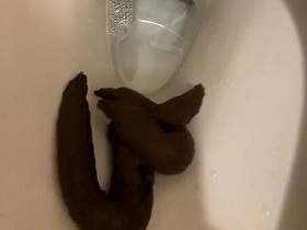 排泄の宴　サンプル画像10